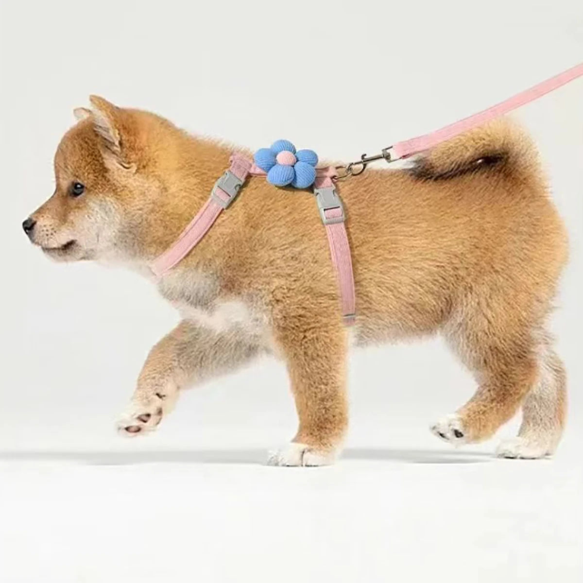 Adjustable Escape-Proof Cat Harness & Leash Set – Breathable, Lightweight & No-Pull Design for Safe Outdoor Walks (S-M, Fits 1.5-7.5kg)