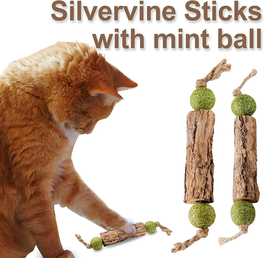 Natural Catnip & Silvervine Molar Sticks for Cats