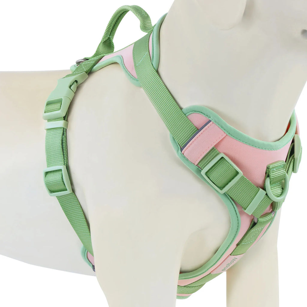 Luxury Adjustable Dog Harness – No-Pull Chest Strap, Personalized