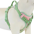 Luxury Adjustable Dog Harness – No-Pull Chest Strap, Personalized