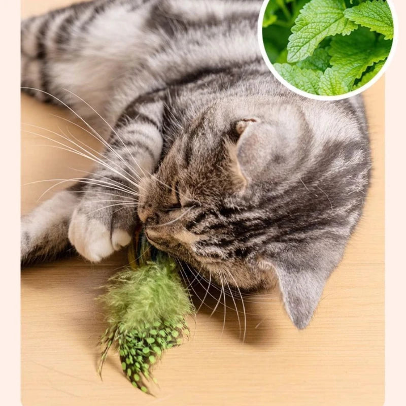 Wall Hanging Bird Cat Teaser Toy – Realistic Sound Catnip Plush for Indoor Cat Chasing