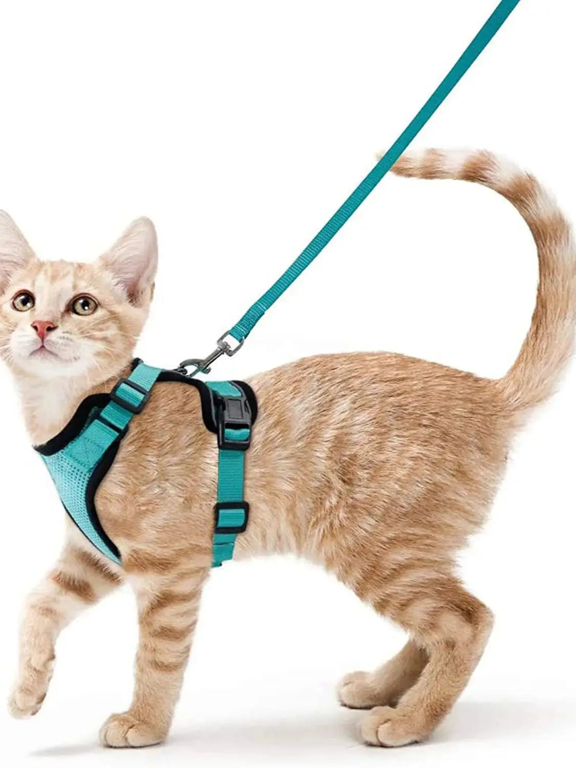 Escape-Proof Cat Harness & Leash Set for Walking – Soft Adjustable Vest, Lightweight & Breathable, Perfect for Outdoor Adventures
