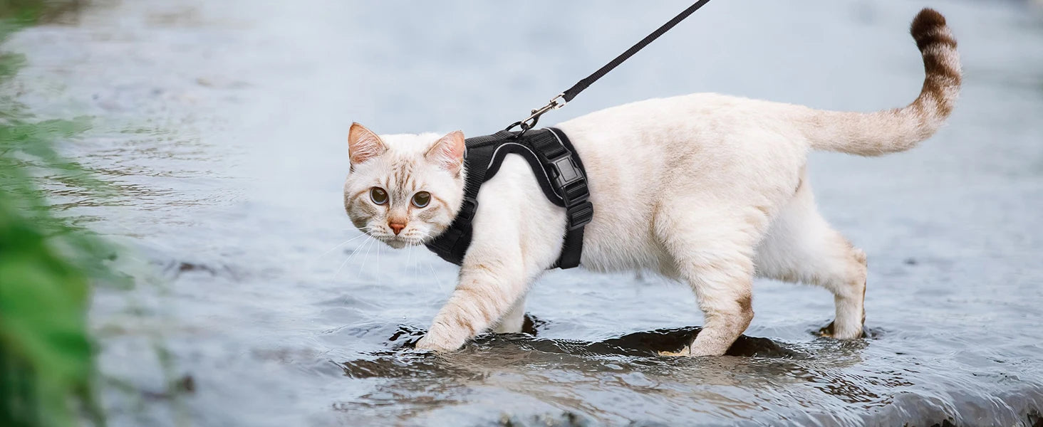 Escape-Proof Cat Harness & Leash Set for Walking – Soft Adjustable Vest, Lightweight & Breathable, Perfect for Outdoor Adventures