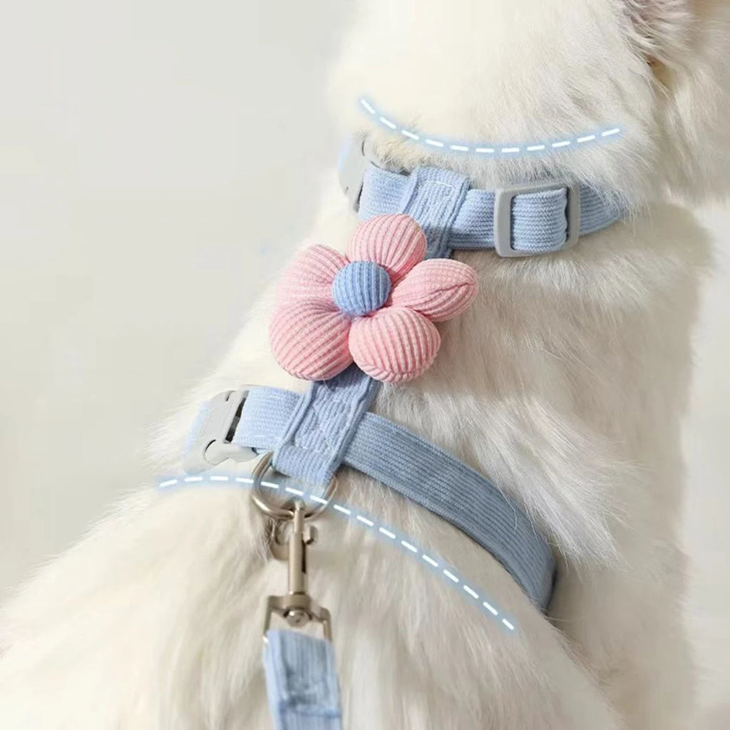 Adjustable Escape-Proof Cat Harness & Leash Set – Breathable, Lightweight & No-Pull Design for Safe Outdoor Walks (S-M, Fits 1.5-7.5kg)