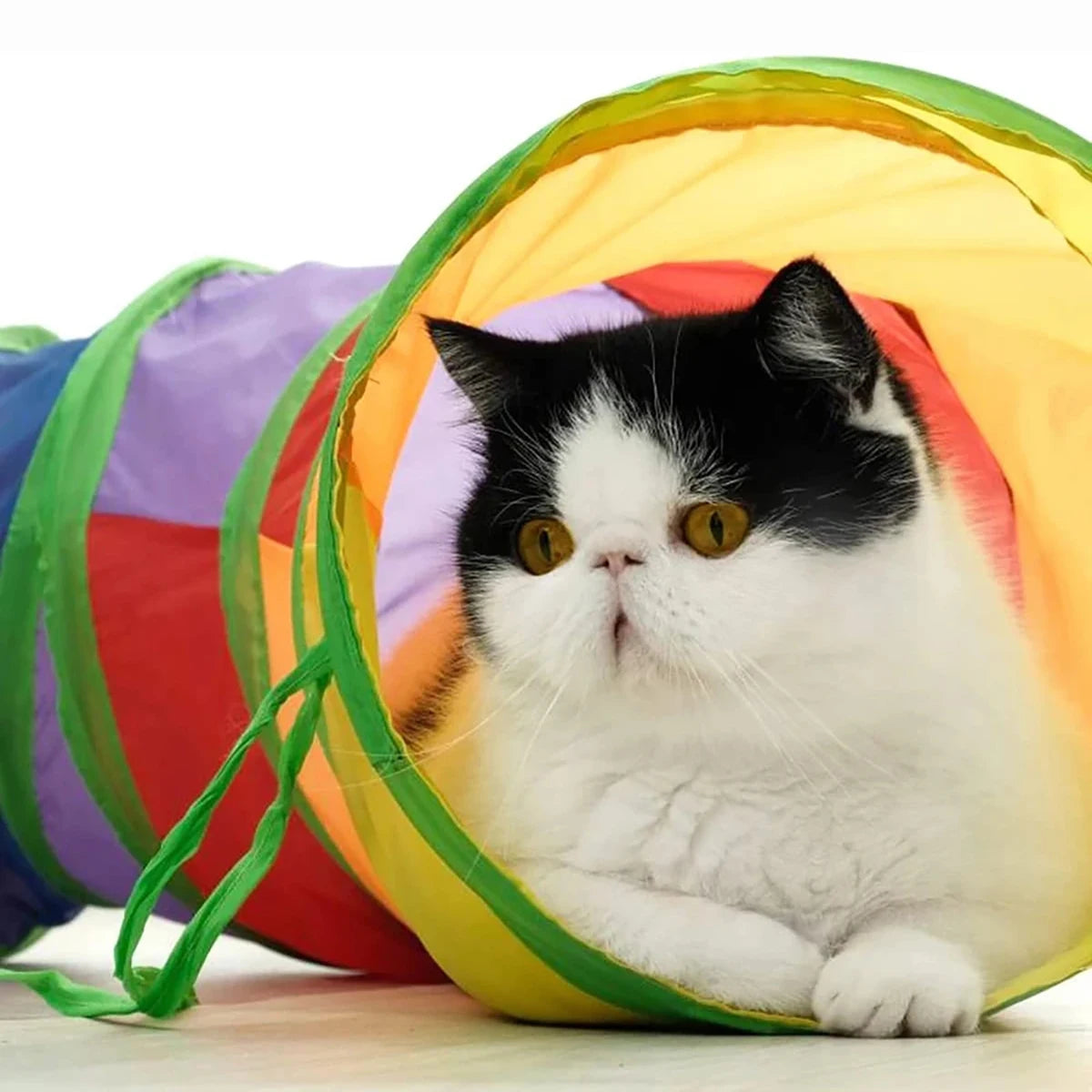 Foldable Cat Tunnel Tube Toy – Collapsible Play Tunnel for Indoor & Outdoor Cats