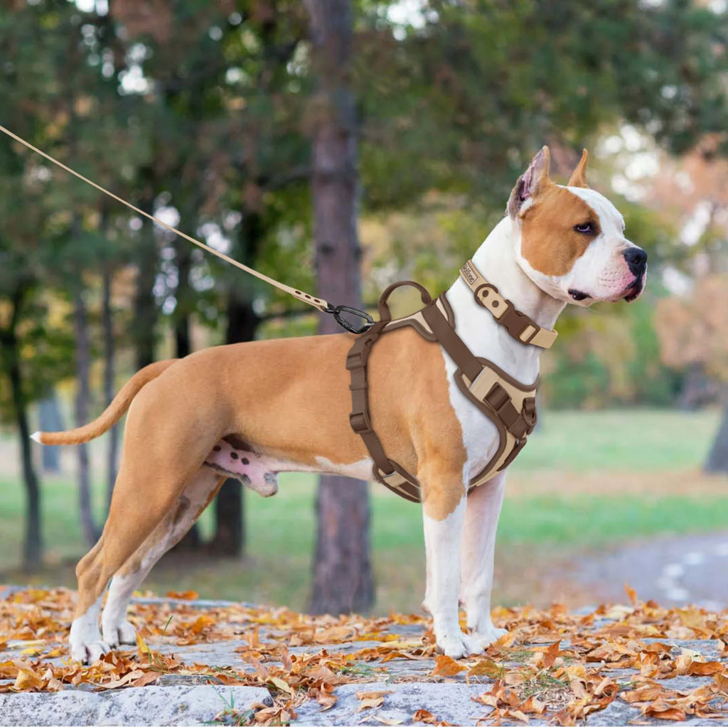 Luxury Adjustable Dog Harness – No-Pull Chest Strap, Personalized