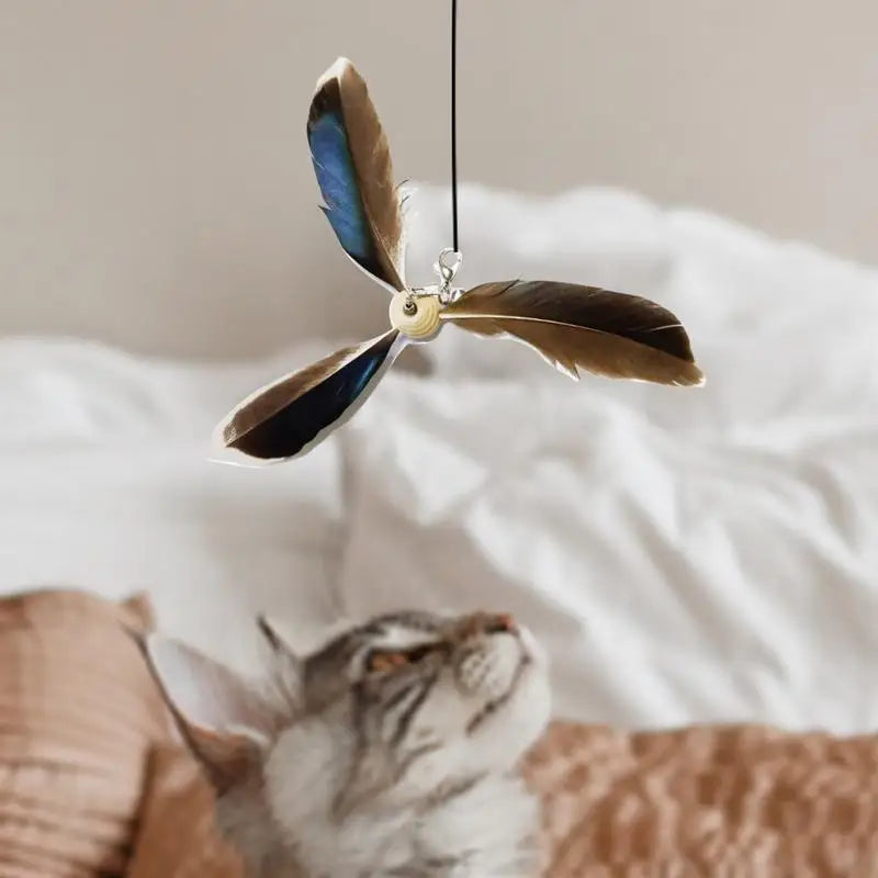 Cat Feather Toy Refill Set of 6 – Wear-Resistant Replacement Feathers for Interactive Cat Wands
