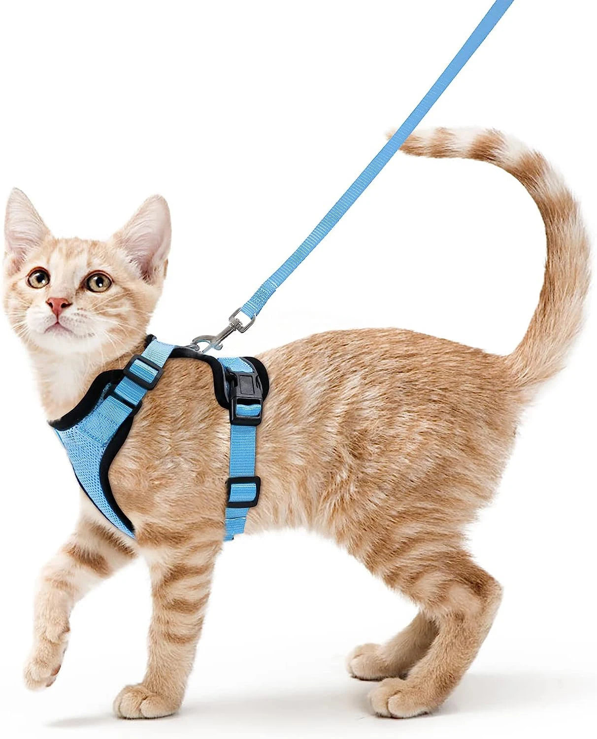 Escape-Proof Cat Harness & Leash Set for Walking – Soft Adjustable Vest, Lightweight & Breathable, Perfect for Outdoor Adventures