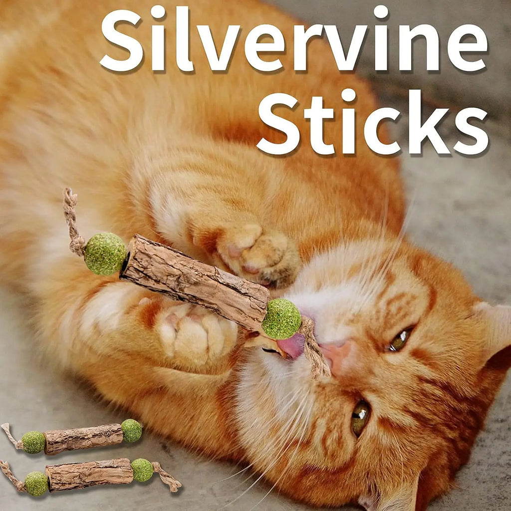 Natural Catnip & Silvervine Molar Sticks for Cats
