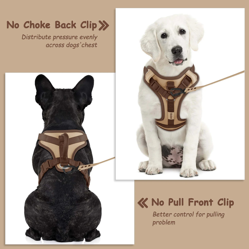 Luxury Adjustable Dog Harness – No-Pull Chest Strap, Personalized