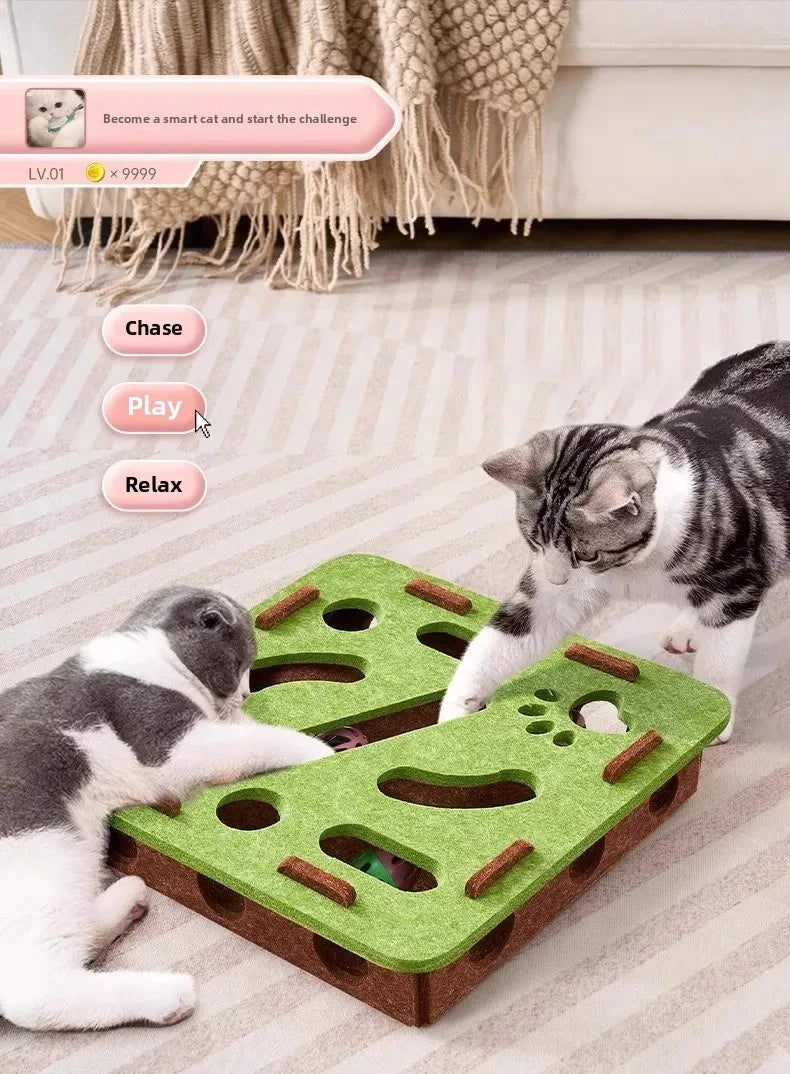 Felt Cat Puzzle Box – Interactive Exercise Toy with Ball for Indoor Hunting Play