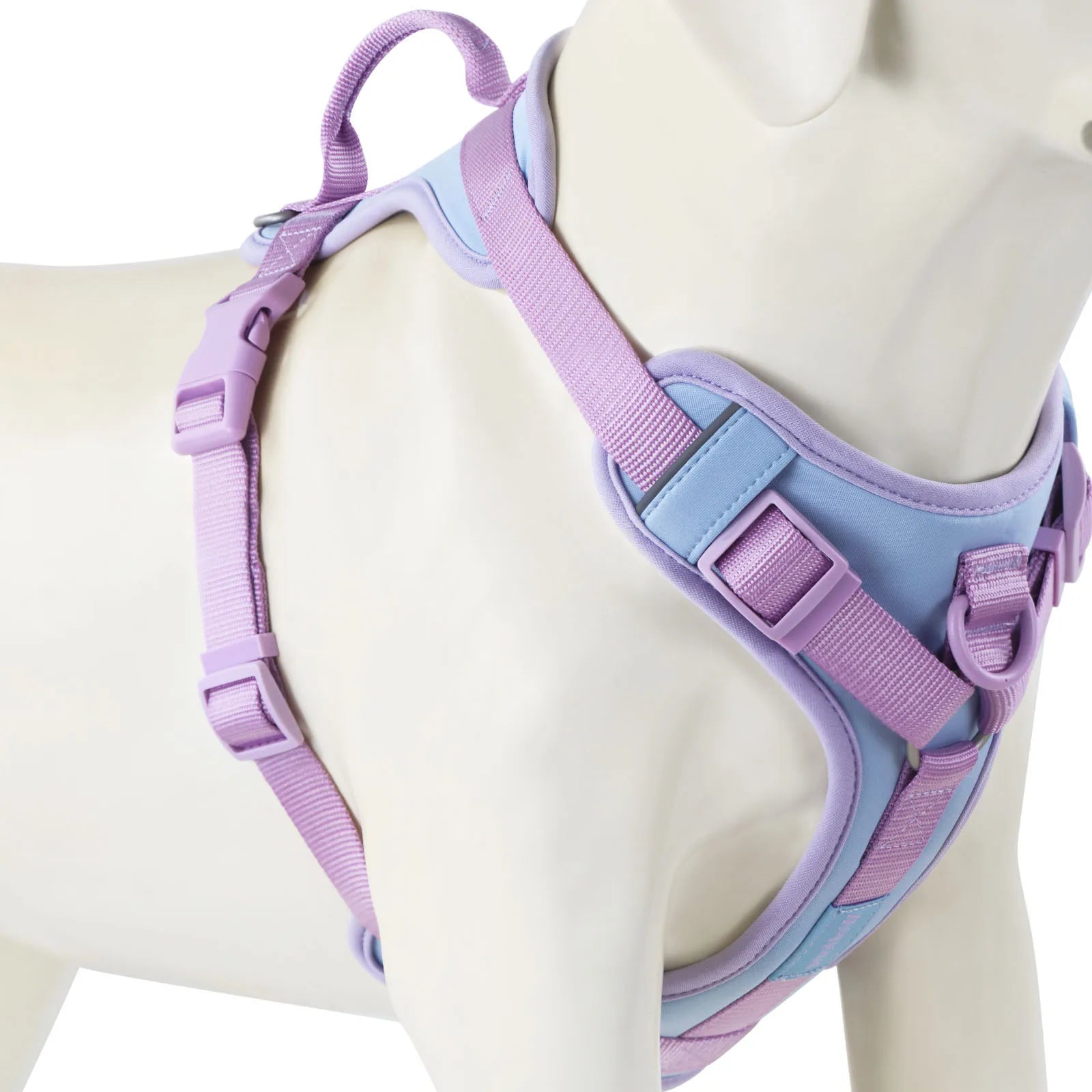 Luxury Adjustable Dog Harness – No-Pull Chest Strap, Personalized