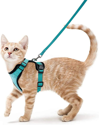 Escape-Proof Cat Harness & Leash Set for Walking – Soft Adjustable Vest, Lightweight & Breathable, Perfect for Outdoor Adventures