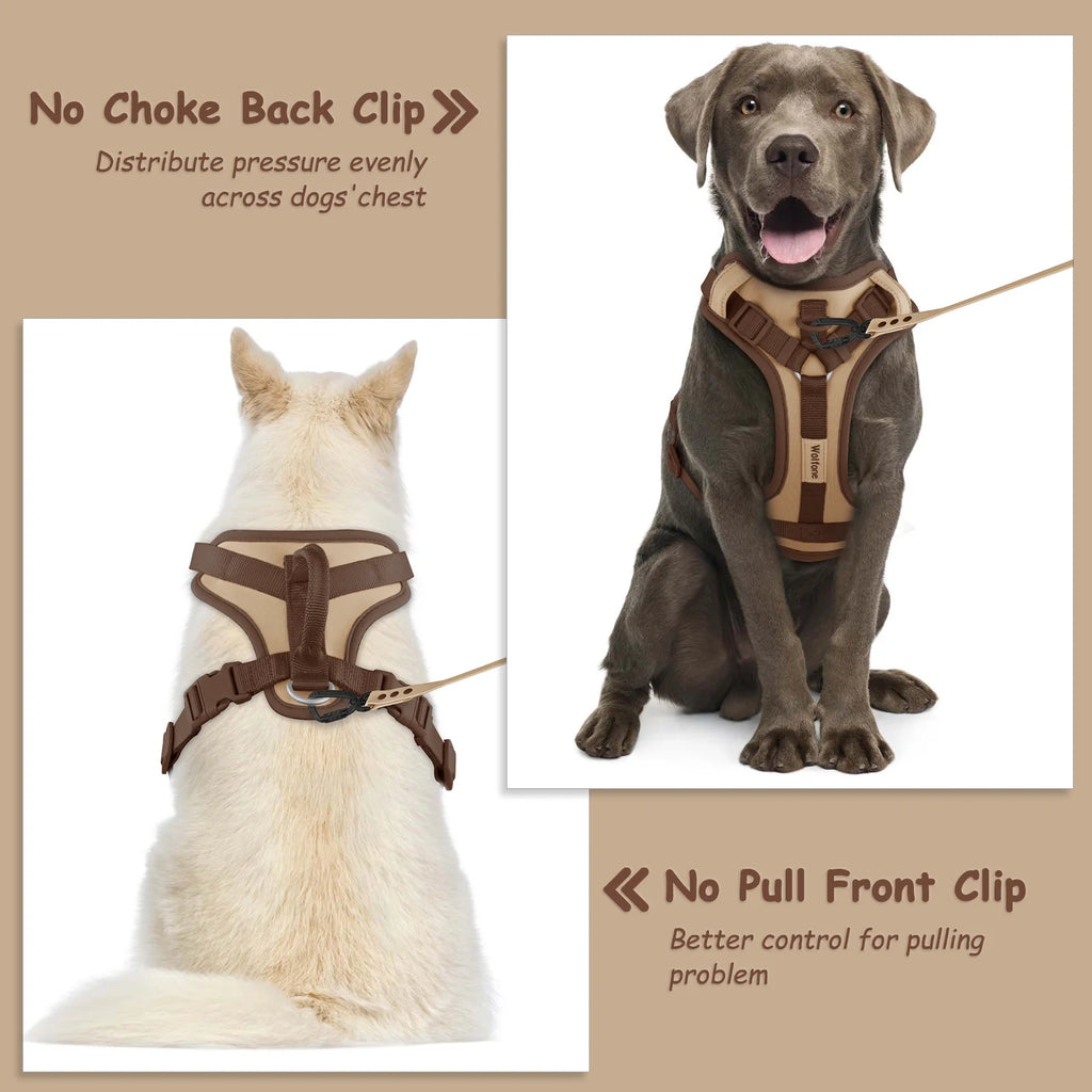 Luxury Adjustable Dog Harness – No-Pull Chest Strap, Personalized