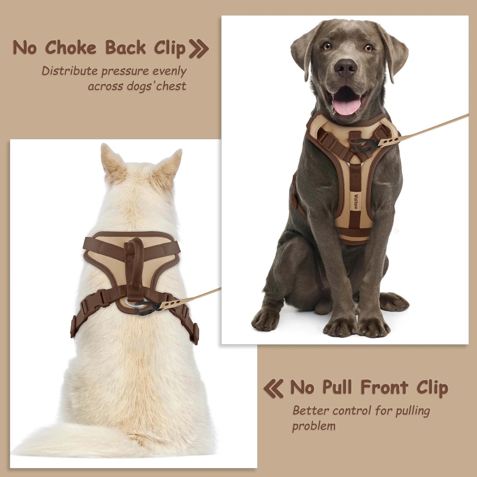 Luxury Adjustable Dog Harness – No-Pull Chest Strap, Personalized