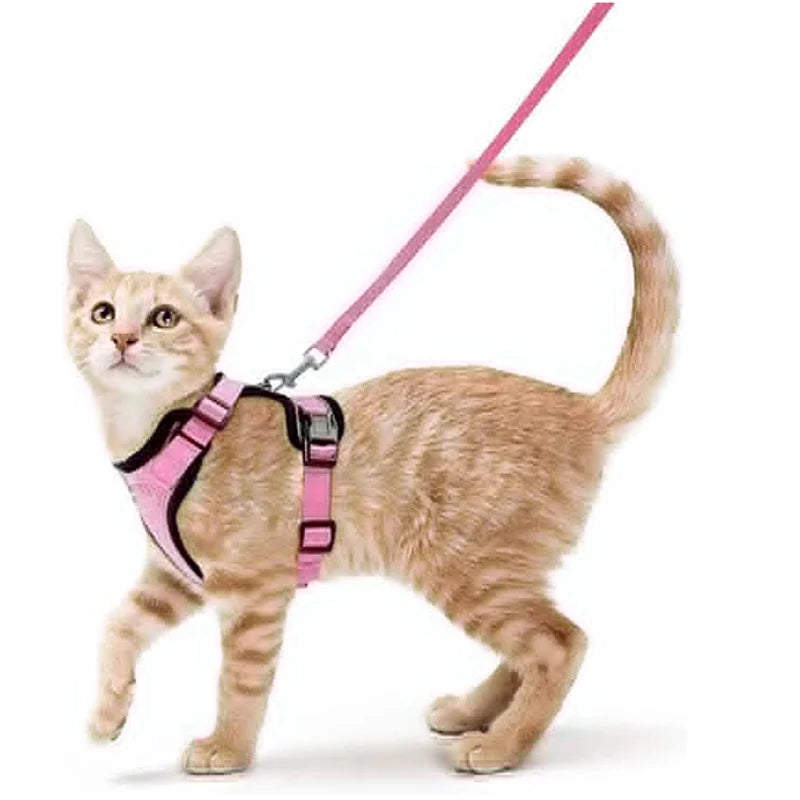 Escape-Proof Cat Harness & Leash Set for Walking – Soft Adjustable Vest, Lightweight & Breathable, Perfect for Outdoor Adventures