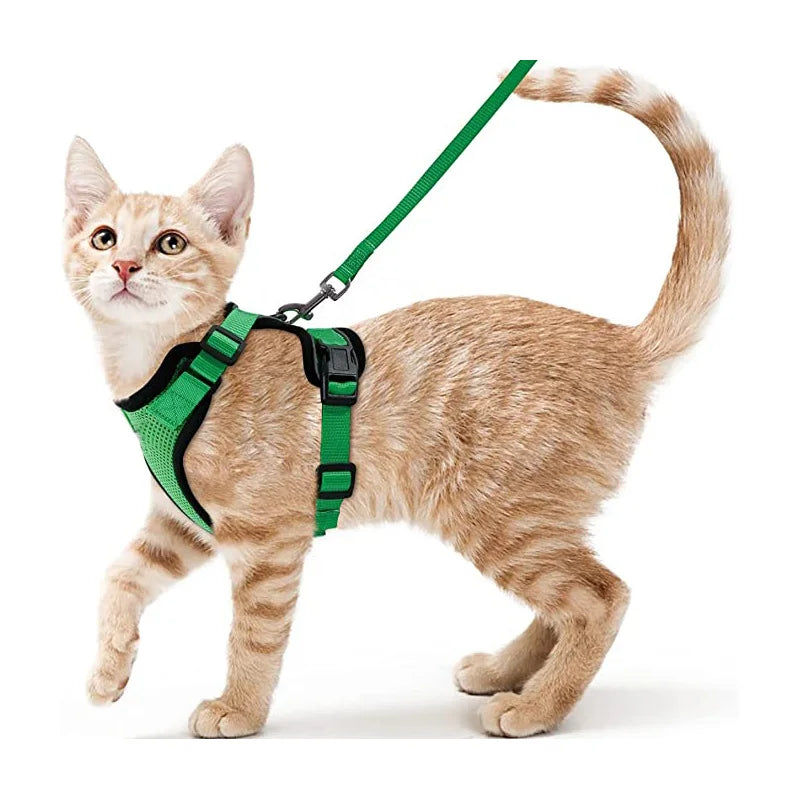 Escape-Proof Cat Harness & Leash Set for Walking – Soft Adjustable Vest, Lightweight & Breathable, Perfect for Outdoor Adventures
