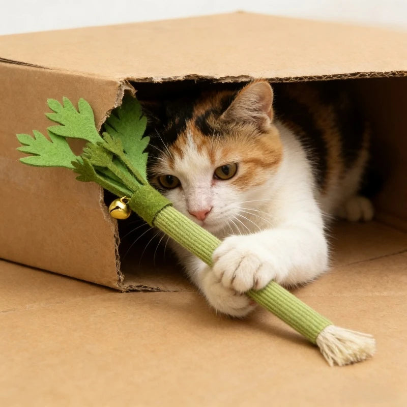 Catnip Molar Stick Cat Chew Toy – Teeth Cleaning & Self-Play Squeaky Toy for Indoor Cats
