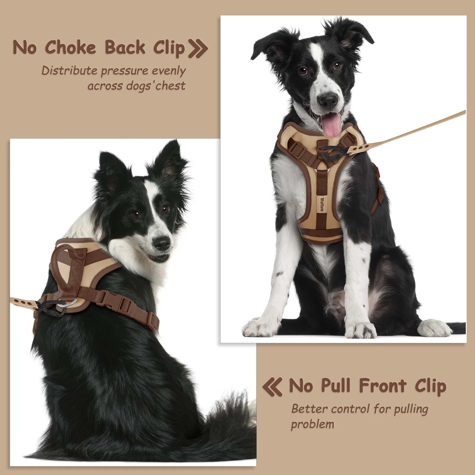 Luxury Adjustable Dog Harness – No-Pull Chest Strap, Personalized