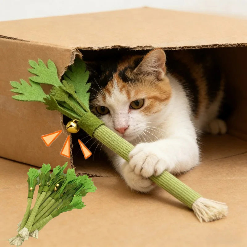 Catnip Molar Stick Cat Chew Toy – Teeth Cleaning & Self-Play Squeaky Toy for Indoor Cats