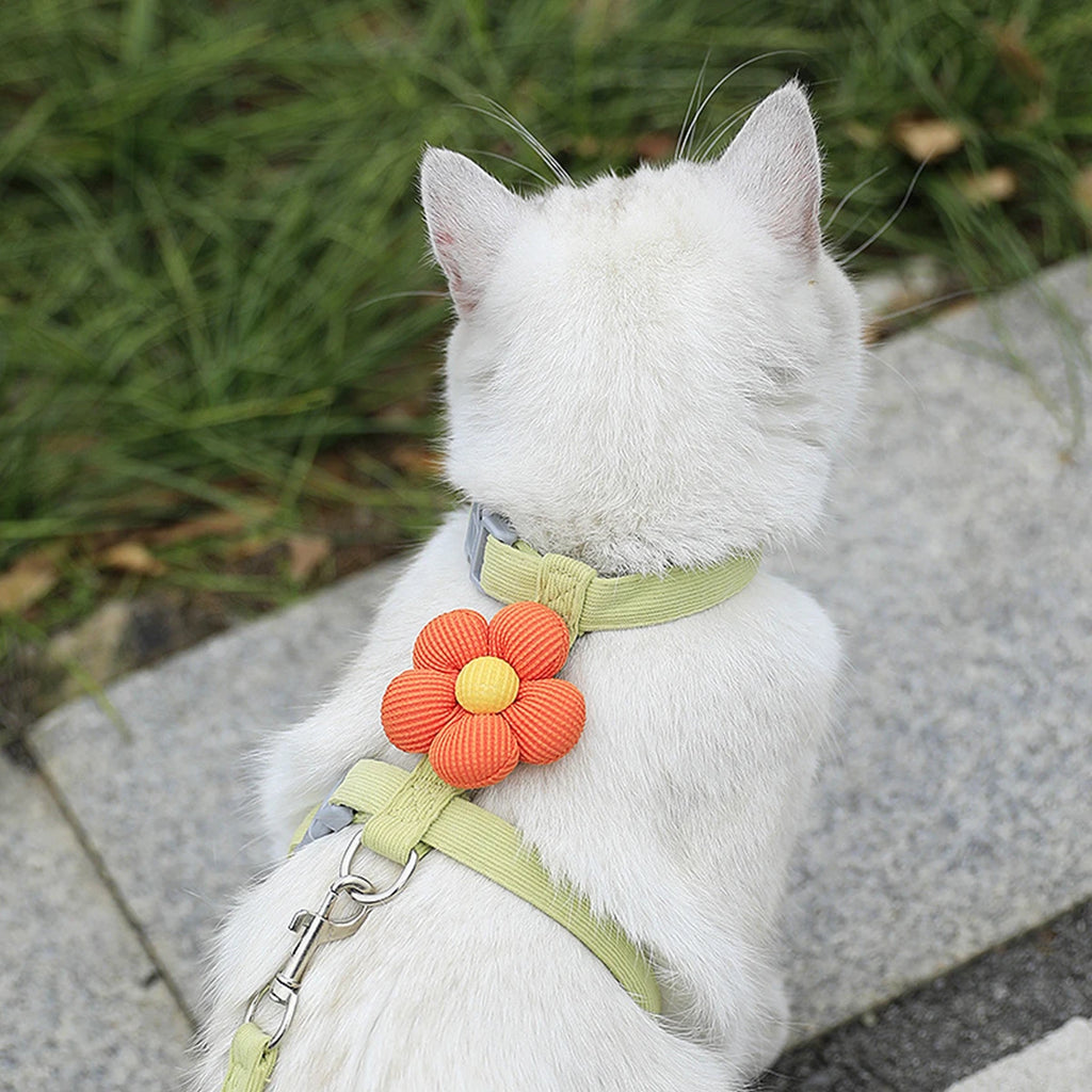 Adjustable Escape-Proof Cat Harness & Leash Set – Breathable, Lightweight & No-Pull Design for Safe Outdoor Walks (S-M, Fits 1.5-7.5kg)