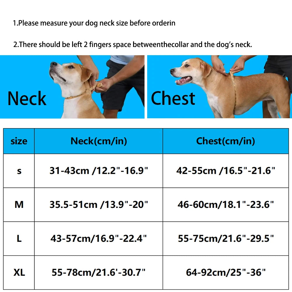 Luxury Adjustable Dog Harness – No-Pull Chest Strap, Personalized