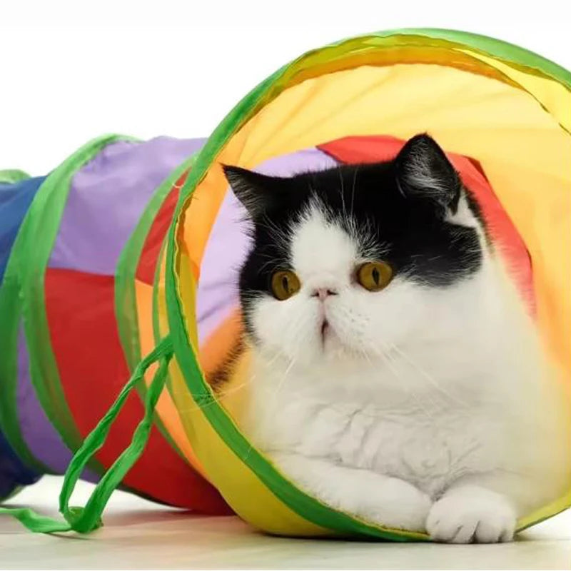 Collapsible Cat Tunnel Tube – Indoor & Outdoor Puzzle Exercise Toy for Cats & Kittens