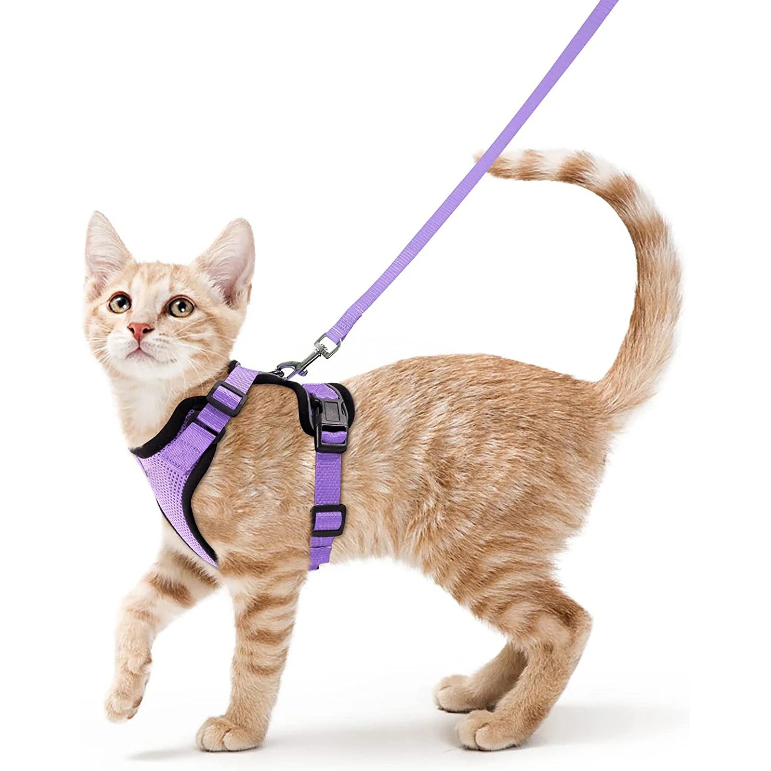 Escape-Proof Cat Harness & Leash Set for Walking – Soft Adjustable Vest, Lightweight & Breathable, Perfect for Outdoor Adventures