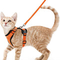Escape-Proof Cat Harness & Leash Set for Walking – Soft Adjustable Vest, Lightweight & Breathable, Perfect for Outdoor Adventures