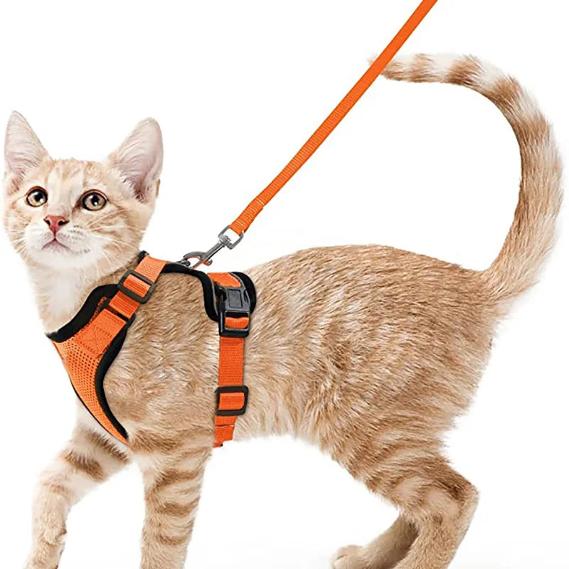 Escape-Proof Cat Harness & Leash Set for Walking – Soft Adjustable Vest, Lightweight & Breathable, Perfect for Outdoor Adventures