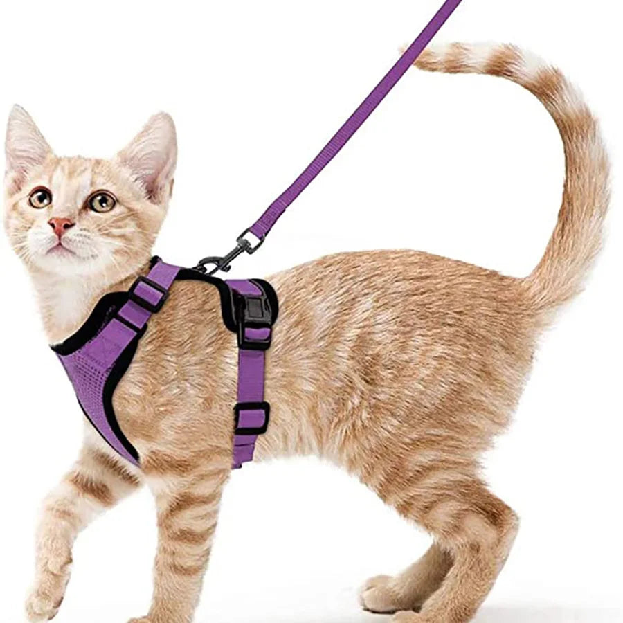 Escape-Proof Cat Harness & Leash Set for Walking – Soft Adjustable Vest, Lightweight & Breathable, Perfect for Outdoor Adventures