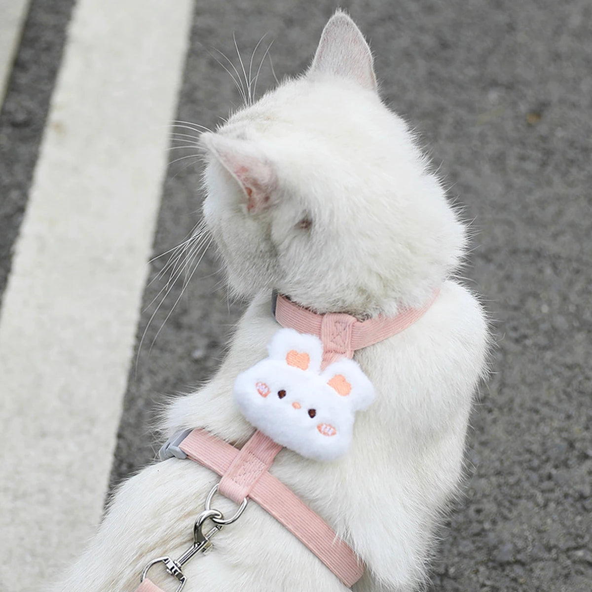 Adjustable Escape-Proof Cat Harness & Leash Set – Breathable, Lightweight & No-Pull Design for Safe Outdoor Walks (S-M, Fits 1.5-7.5kg)