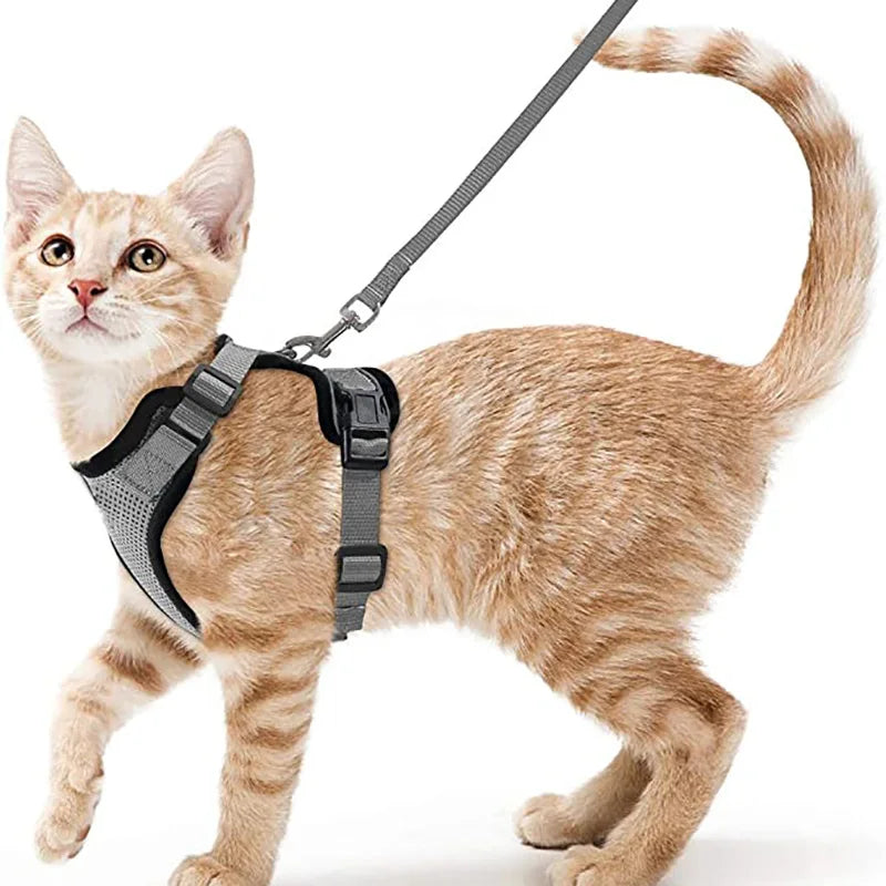 Escape-Proof Cat Harness & Leash Set for Walking – Soft Adjustable Vest, Lightweight & Breathable, Perfect for Outdoor Adventures