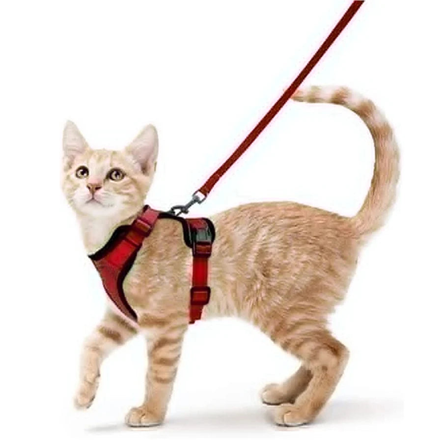 Escape-Proof Cat Harness & Leash Set for Walking – Soft Adjustable Vest, Lightweight & Breathable, Perfect for Outdoor Adventures