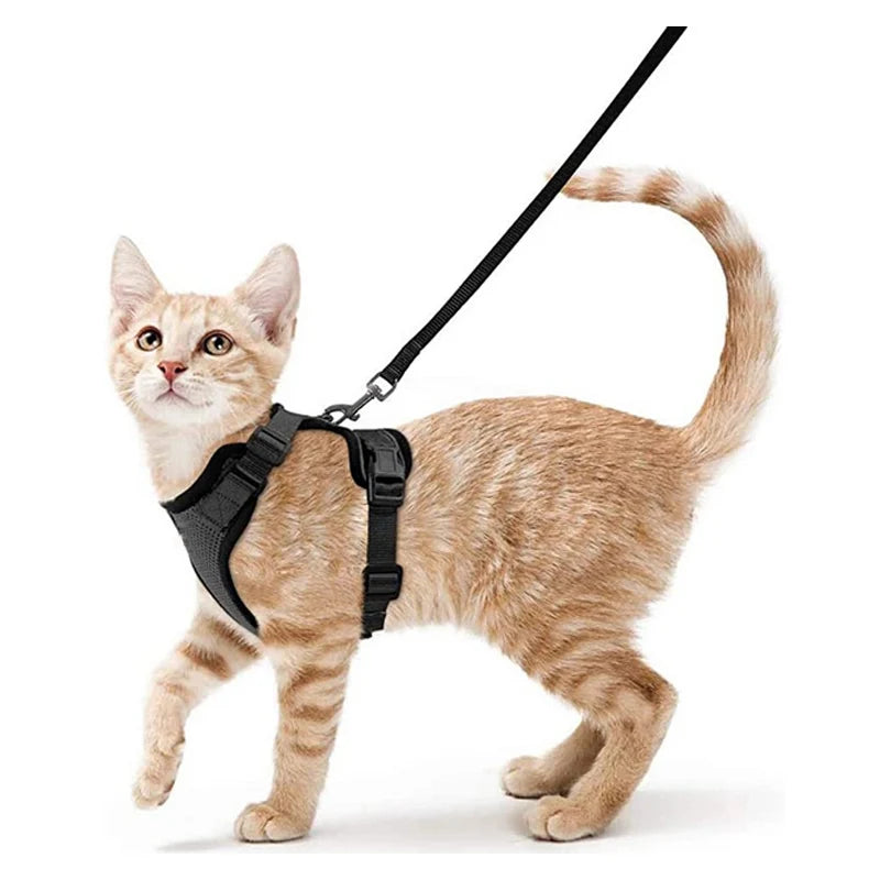 Escape-Proof Cat Harness & Leash Set for Walking – Soft Adjustable Vest, Lightweight & Breathable, Perfect for Outdoor Adventures