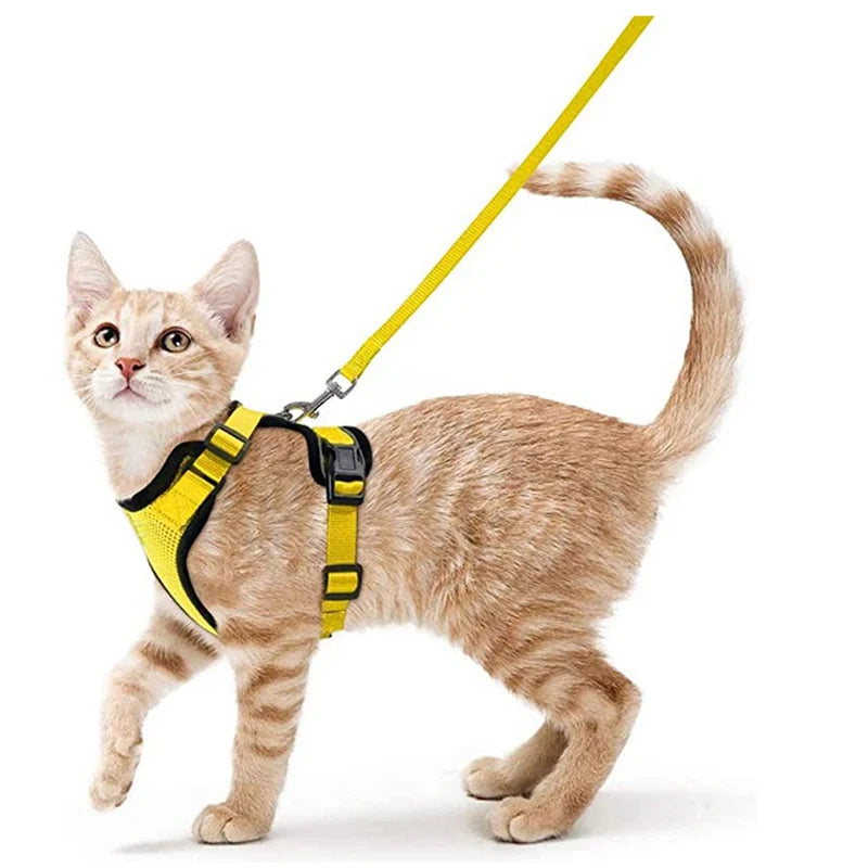 Escape-Proof Cat Harness & Leash Set for Walking – Soft Adjustable Vest, Lightweight & Breathable, Perfect for Outdoor Adventures