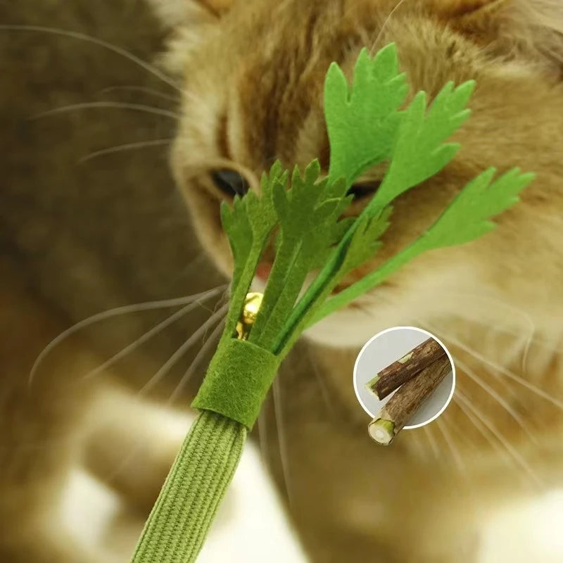 Catnip Molar Stick Cat Chew Toy – Teeth Cleaning & Self-Play Squeaky Toy for Indoor Cats
